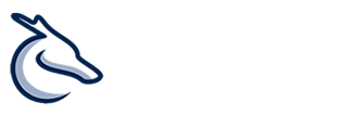 轩辕无限